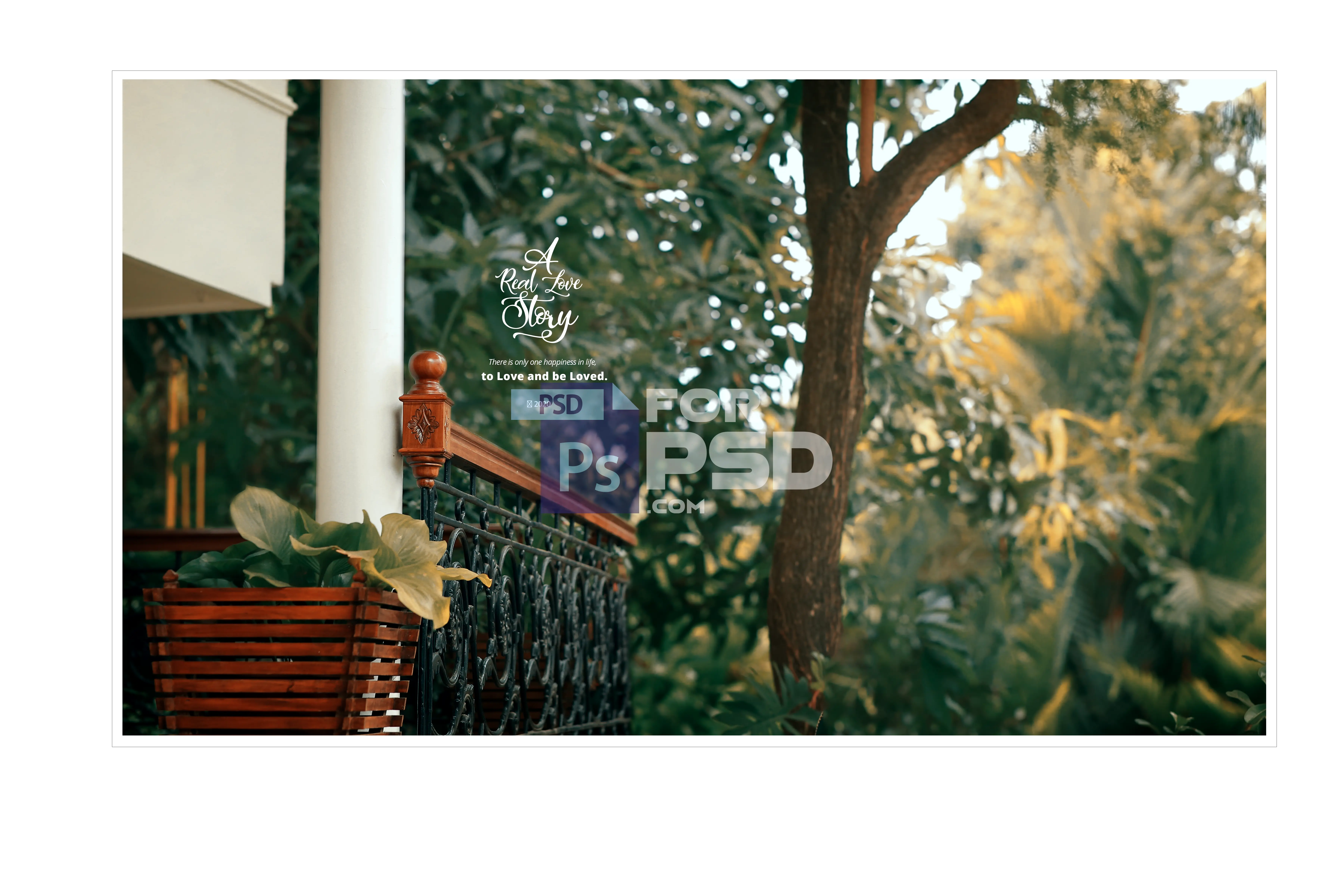 Image Preview